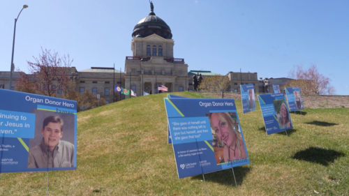 Photos of organ donors displayed on yard signs outside the Helena, Montana, capitol building.