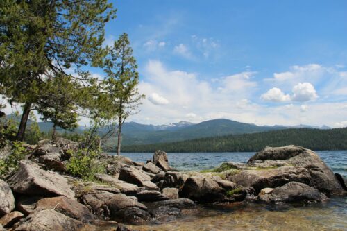 mountain landscape lifecenter northwest OPO in Washington state, Idaho Montana and Alaska